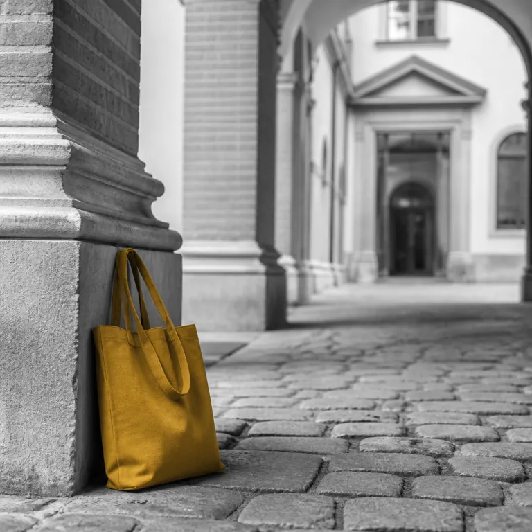 Musei gratis a Bologna: guida pratica per chi soggiorna in hotel in centro